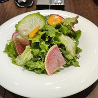 IMPASTO - インサラータ