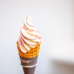 TATEYAMA BASE - イチゴ・チョコ・マンゴー・MIX・抹茶・季節限定