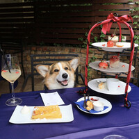 BISTRO FAVORI 代官山 - 