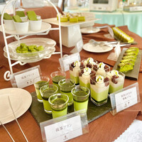 THE KOBECRUISE コンチェルト - 