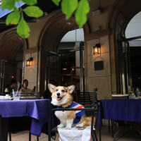 BISTRO FAVORI 代官山 - 