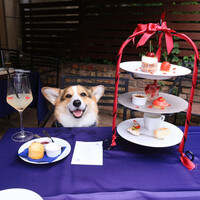 BISTRO FAVORI 代官山 - 