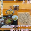 糸柳 - 料理写真: