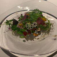 レフェルヴェソンス - 