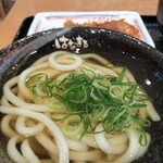 Hanamaru Udon - かけ