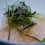 アコルドゥ - 青魔滅のクスクスと大和肉鶏