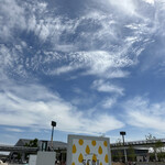 SCOL CAFE&D - 