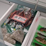魚KIN - 