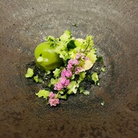 RESTAURANT SALT - 