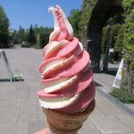 滝野すずらん丘陵公園 中央口休憩所 - 料理写真:中央口休憩所 「バニラ＆ストロベリーソフトクリーム」