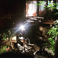 雪梅花 菜根譚 - 