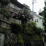 幻董庵 - 近くから・・建物を