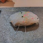 鮨酒場 嘉兵衛 - 