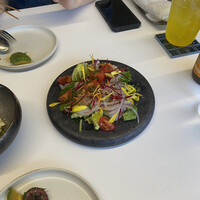 TRATTORIA KIKUYA - 