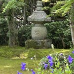 和食 花の茶屋 - 