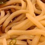 がんこ親父 - うどんはしこしこ