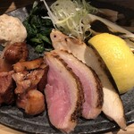 鴨出汁中華蕎麦 麺屋yoshiki - カモックスつけ麺