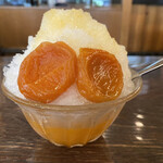 初音 - 氷あんず