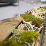 RiVi - ウニチップ