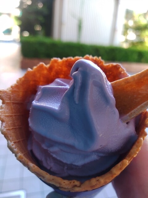 ミニストップ 仙台北中山店 &ndash; 東北福祉大前