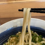 Kamatama Udon Ajitarou - 残念過ぎ…開店時やったと思いたい