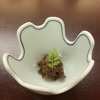 荒井屋 万國橋店 - ふんわりジューシー牛そぼろ