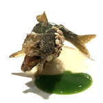 Gucci Osteria da Massimo Bottura - 