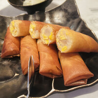 CINA New Modern Chinese - 