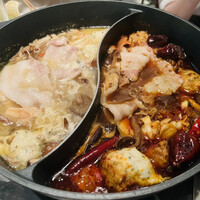 CINA New Modern Chinese - 