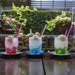 きんぎょcafe 柳楽屋・陽だまり - カラフルソーダフロート