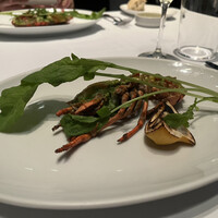 THE COSMOPOLITAN GRILL BAR TERRACE - 