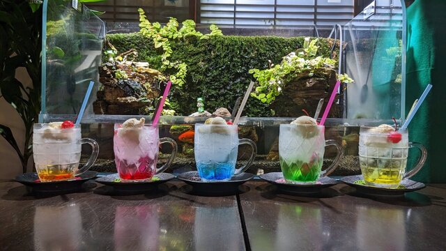 Kingyo cafe Ryurakuya Hidamari photo 2