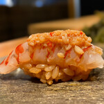 Sushi Mitsuyoshi - 車海老