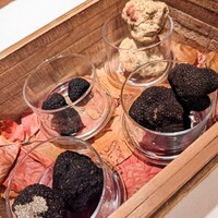 Terres de Truffes, Tokyo - 