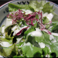 鴨料理専門店 鴨亭 - 
