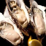 fresh! Raw Oyster <1 piece>