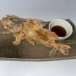 今治小泉酒場 姉妹 - 