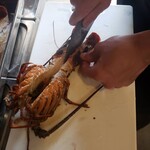 今治小泉酒場 姉妹 - 