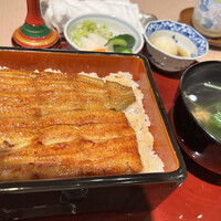 野田岩 日本橋高島屋特別食堂 - 天然うなぎ岡山県産