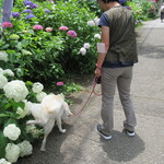 手打そば　いしやま - ありゃ､行儀が悪いですね！