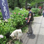 手打そば　いしやま - 