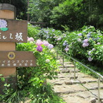 手打そば　いしやま - 