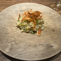 Selvaggio - 