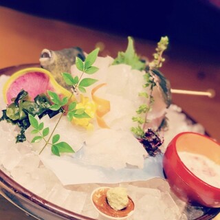 自慢の生簀より活魚！！写真はカワハギの活け造り◎