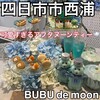 BUBU de moon - 