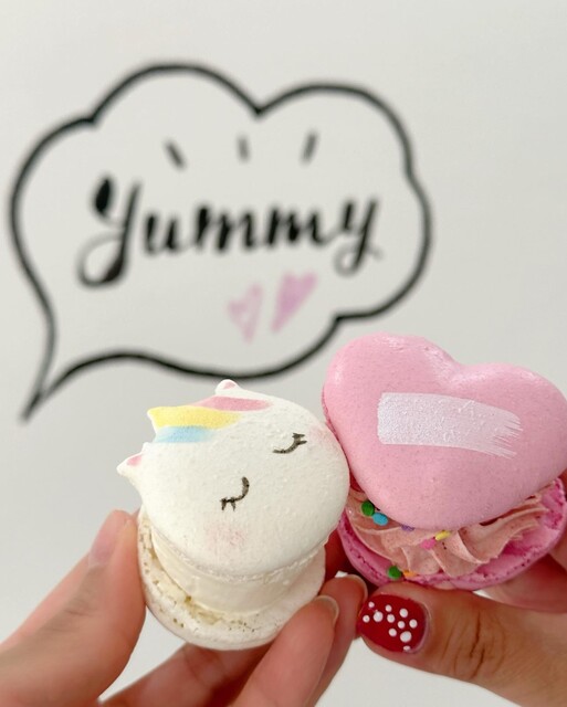 芦屋コロン♪ アーチクッションレギュラー – 株式会社コロンブス