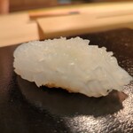 すし 良月 - アオリイカ