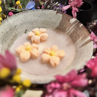 LURRA° - 桜、酒粕とプリザーブハスカップペリー