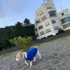 まつしん - 