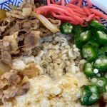 Yoshinoya - 牛麦とろ丼並のアップ